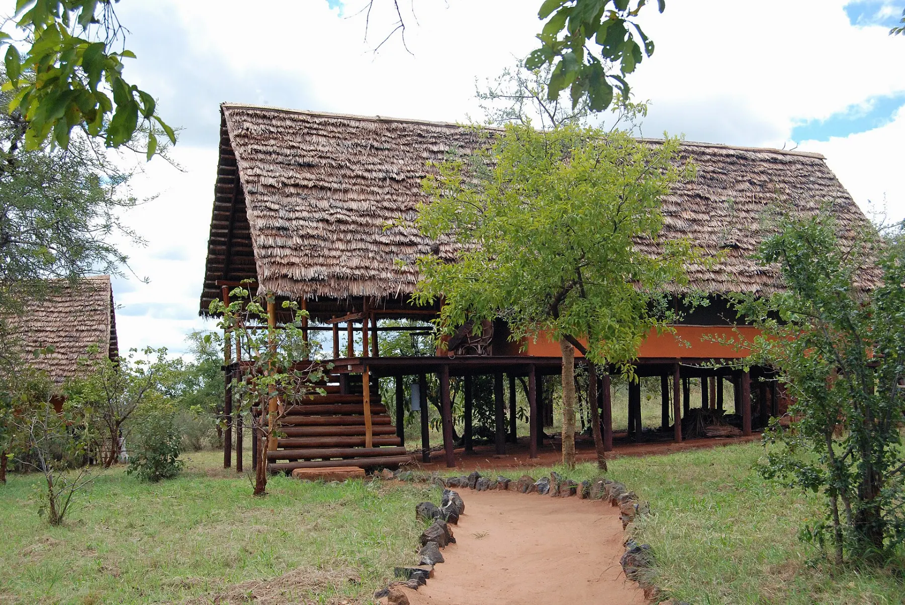 A timber safari lodge surrounded by trees